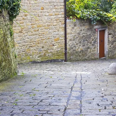 Apartman Cosy Little Love Nest In